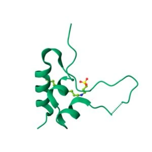 IGF-1 LR3 Structure